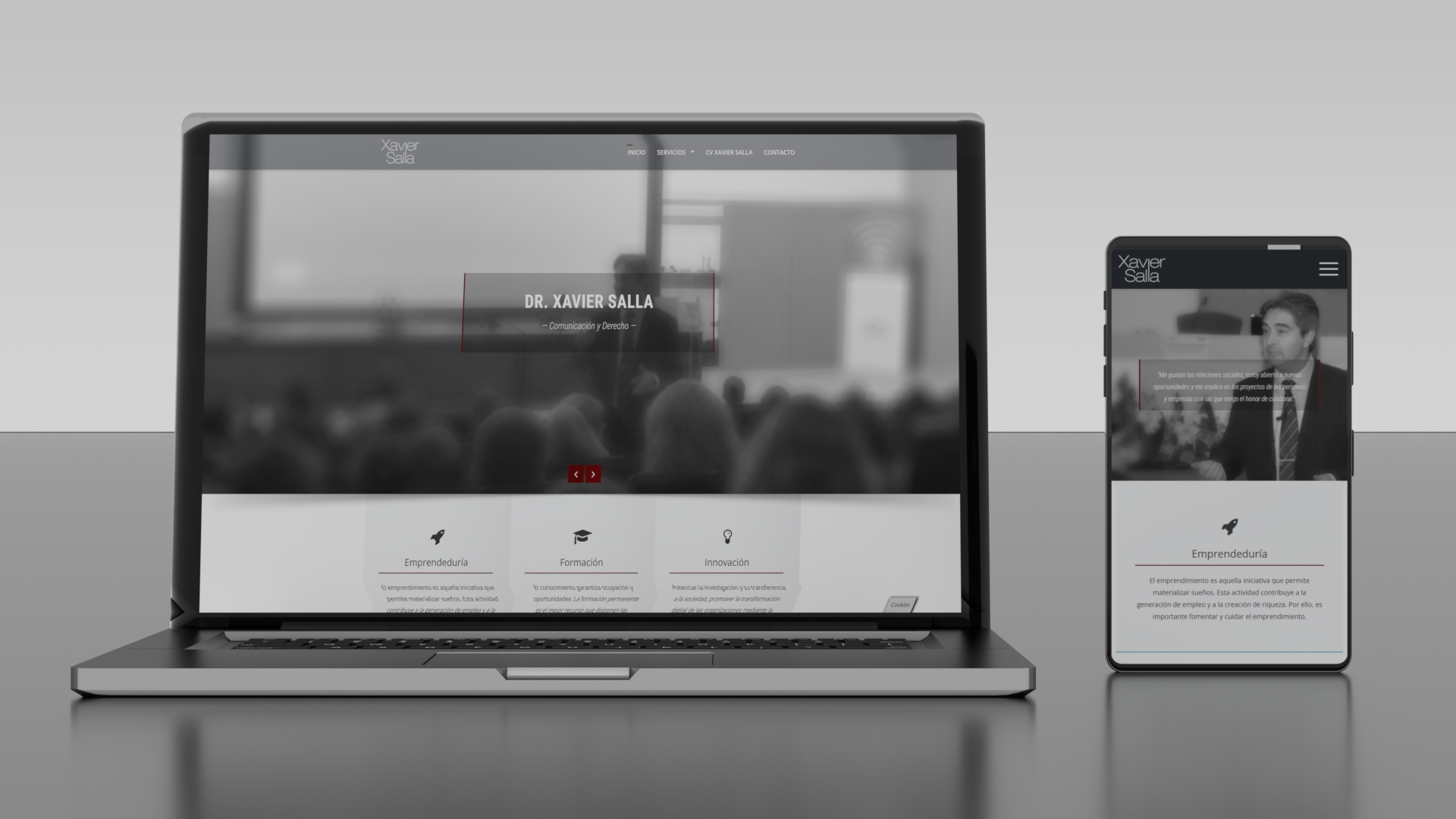 Diseño Responsive Web Xavier Salla