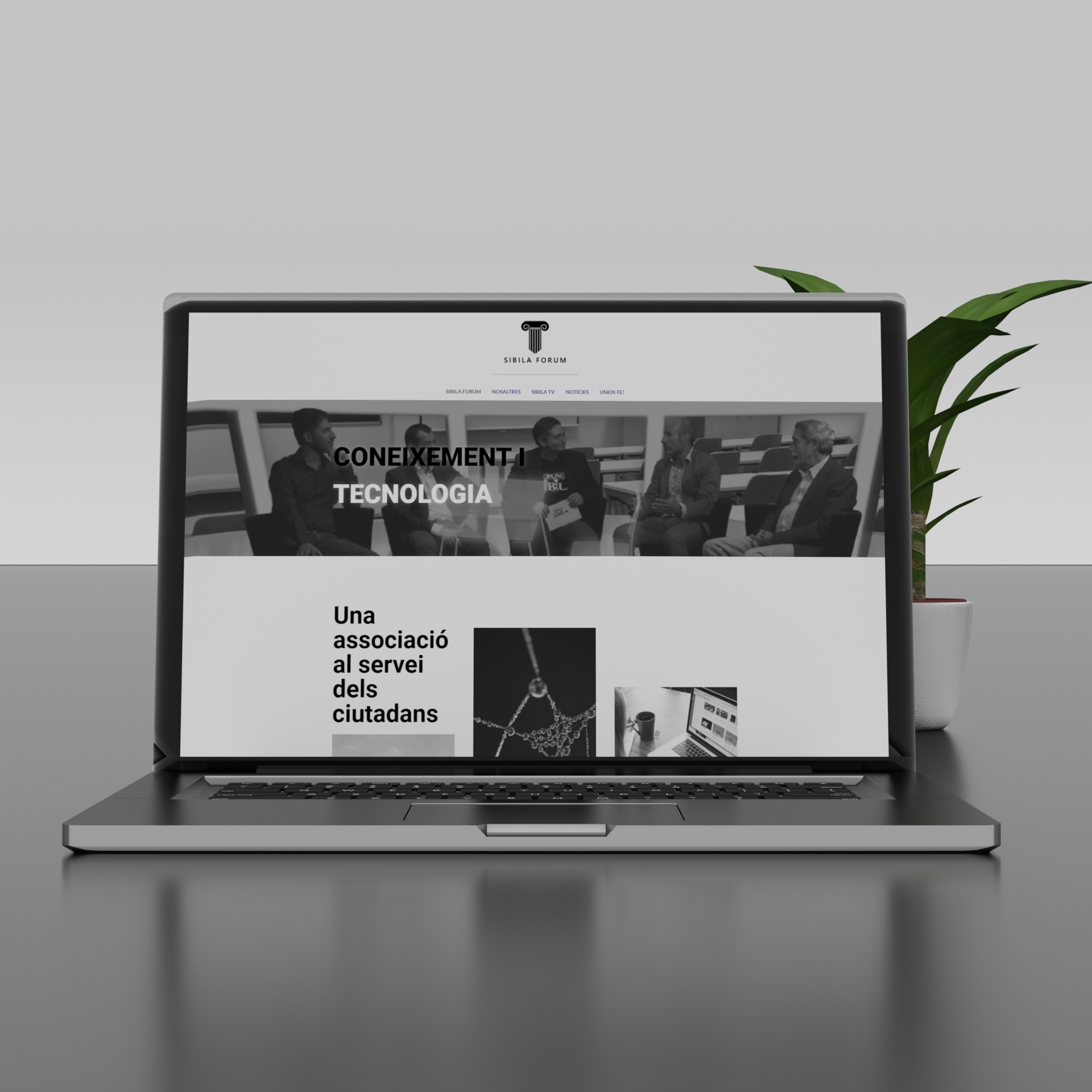 Sibila Forum Mockup