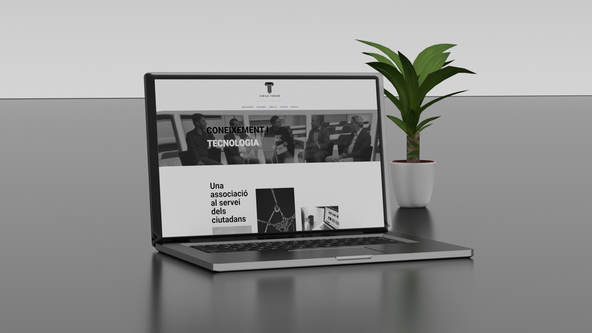 Mockup Web Sibila